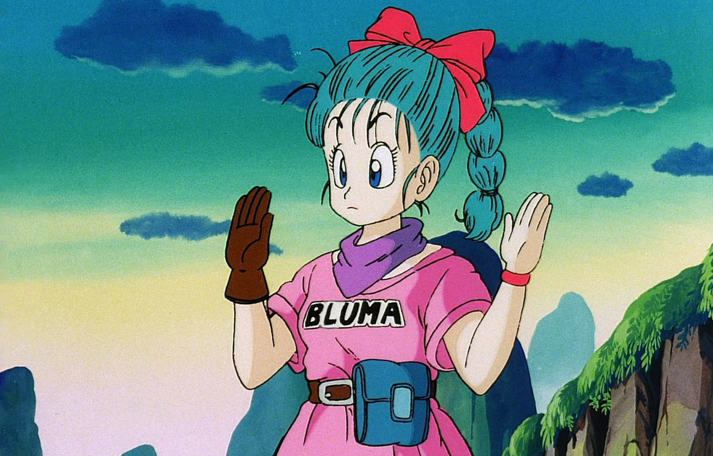 Bulma Bluma